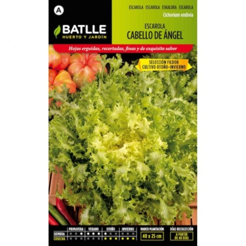 BATLLE SOBRES HORT. ESCAROLA CABELLO ANGEL C/10 BATLLE